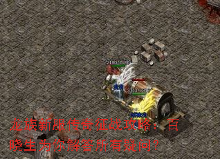 龙族新服传奇征战攻略：百晓生为你解答所有疑问？