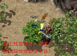 踏上热血征途：如何选择顶级传奇新服平台？