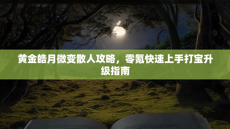 黄金皓月微变散人攻略，零氪快速上手打宝升级指南