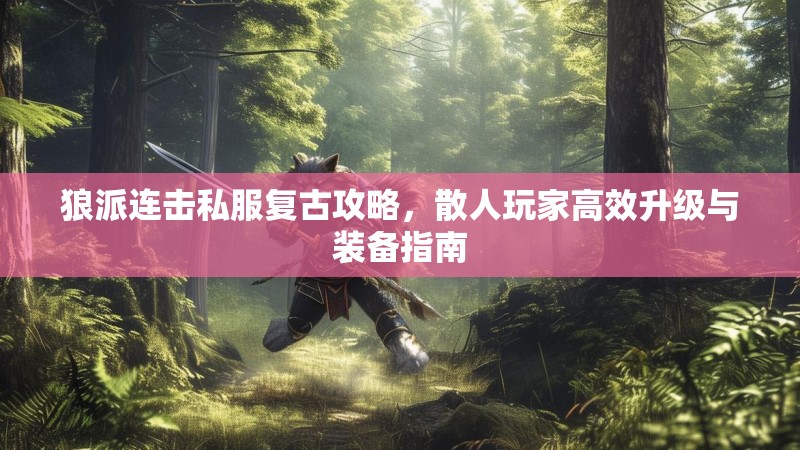 狼派连击私服复古攻略，散人玩家高效升级与装备指南