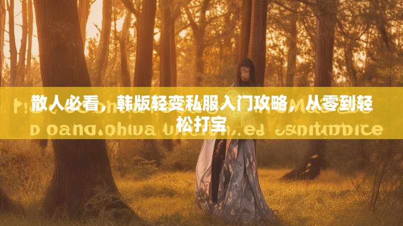 散人必看，韩版轻变私服入门攻略，从零到轻松打宝