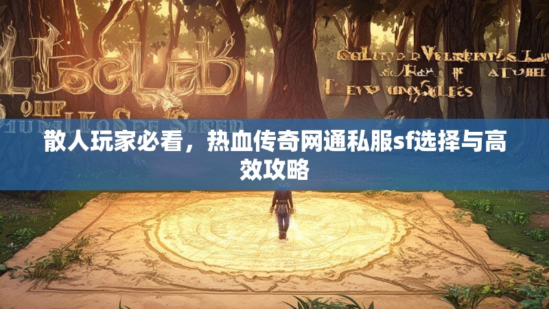 散人玩家必看，热血传奇网通私服sf选择与高效攻略