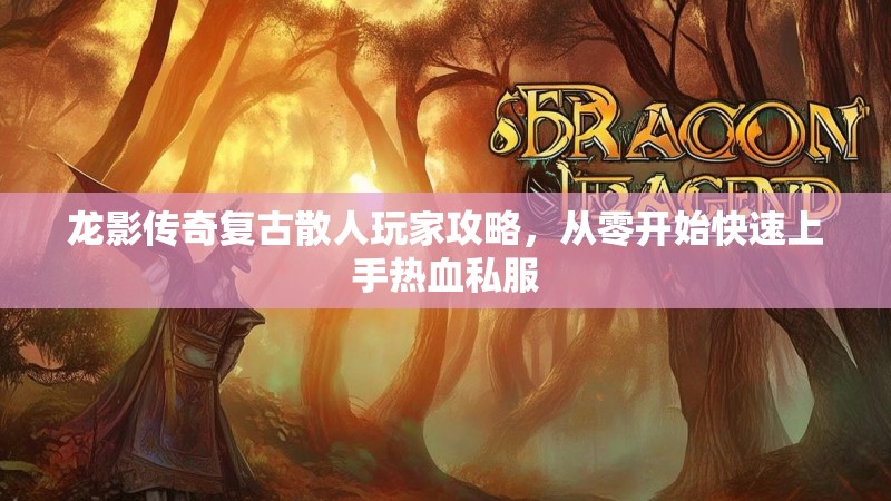 龙影传奇复古散人玩家攻略，从零开始快速上手热血私服
