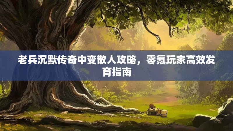 老兵沉默传奇中变散人攻略，零氪玩家高效发育指南