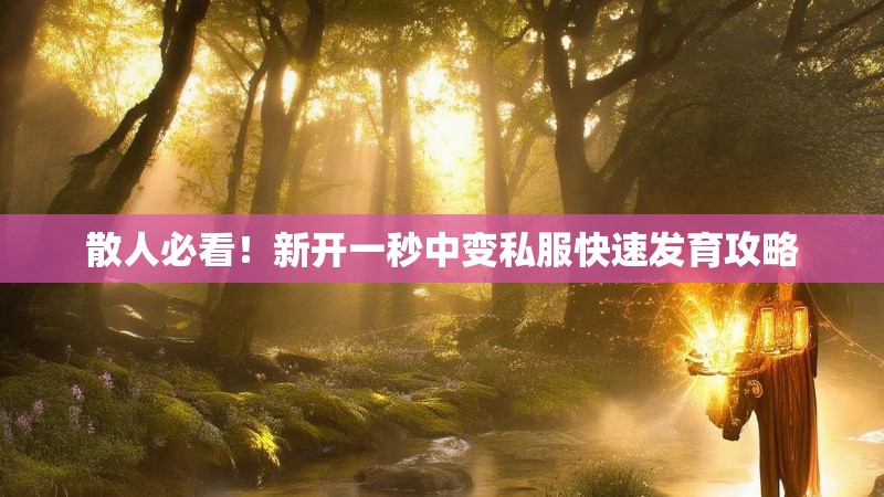 散人必看！新开一秒中变私服快速发育攻略