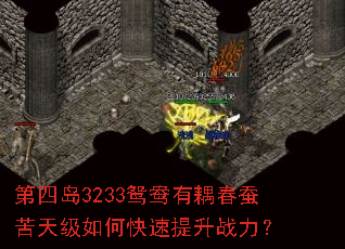 第四岛3233鸳鸯有耦春蚕苦天级如何快速提升战力？