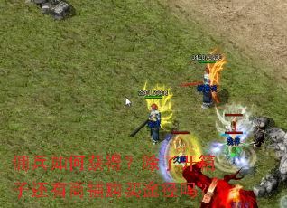 佣兵如何获得？除了开箱子还有商铺购买途径吗？