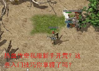 热血传奇私服新手开荒？这些入门技巧你掌握了吗？