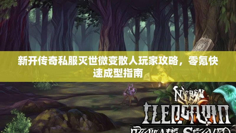 新开传奇私服灭世微变散人玩家攻略，零氪快速成型指南