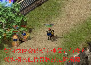 如何快速突破新手迷雾？仙魔齐聚纵横热血传奇私服进阶指南
