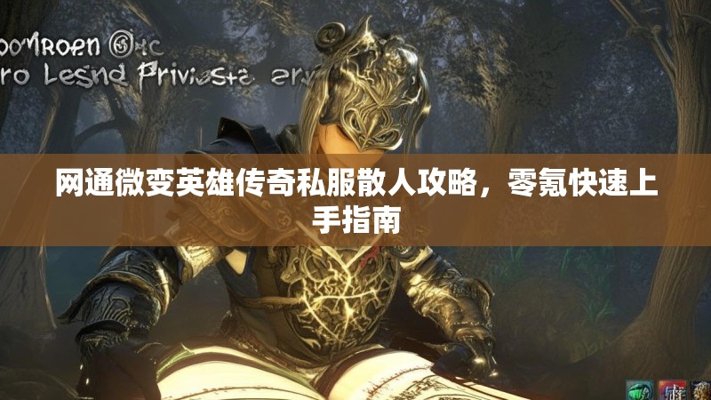 网通微变英雄传奇私服散人攻略，零氪快速上手指南