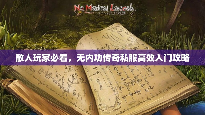 散人玩家必看，无内功传奇私服高效入门攻略