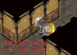 如何快速提升魔神杀传奇中的角色等级？