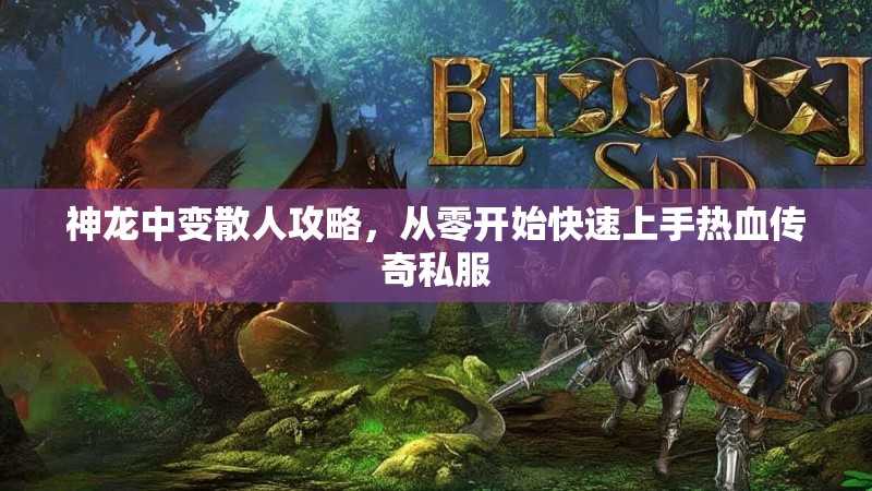 神龙中变散人攻略，从零开始快速上手热血传奇私服
