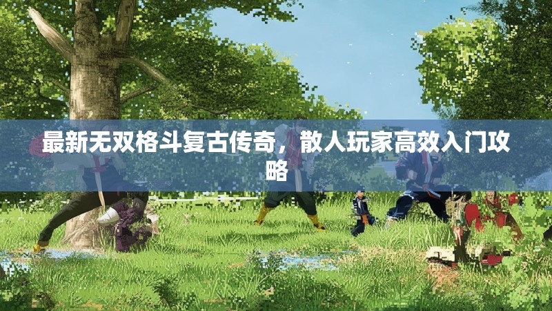 最新无双格斗复古传奇，散人玩家高效入门攻略