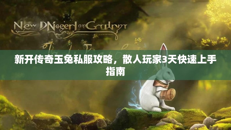 新开传奇玉兔私服攻略，散人玩家3天快速上手指南